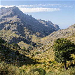 Betoverende Serra de Tramuntana: Verken de spectaculaire bergketen van Mallorca