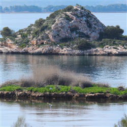 De beste plekken voor vogelspotten op het prachtige eiland Mallorca