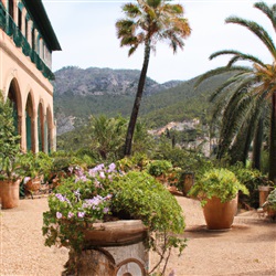 Jardí Botànic de Sóller: Een botanische schat in het hart van Mallorca