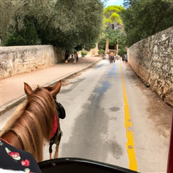 Paardrijden op Mallorca: Routes en Maneges