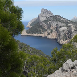 Sa Dragonera: Een paradijs voor natuurliefhebbers en wandelaars voor de kust van Mallorca