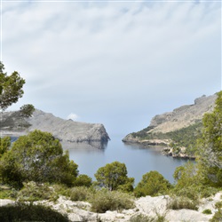 Tips voor het bezoeken van natuurreservaten op Mallorca